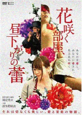 黄瓜影视温情治愈电影云上邮差海报